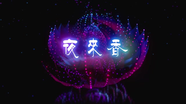 邓丽君歌曲夜来香led视频背景-有词