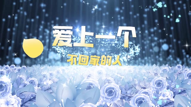 爱上一个不回家的人led视频背景-有词