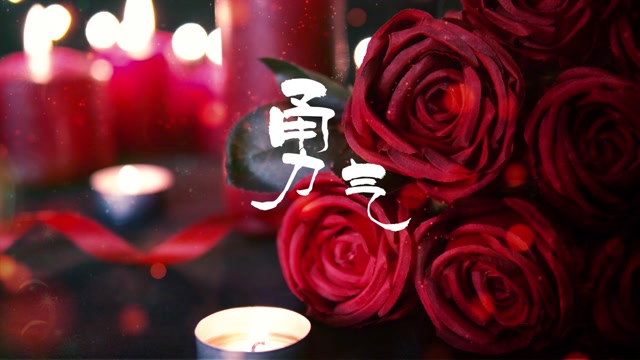 梁静茹歌曲勇气led视频背景-有词