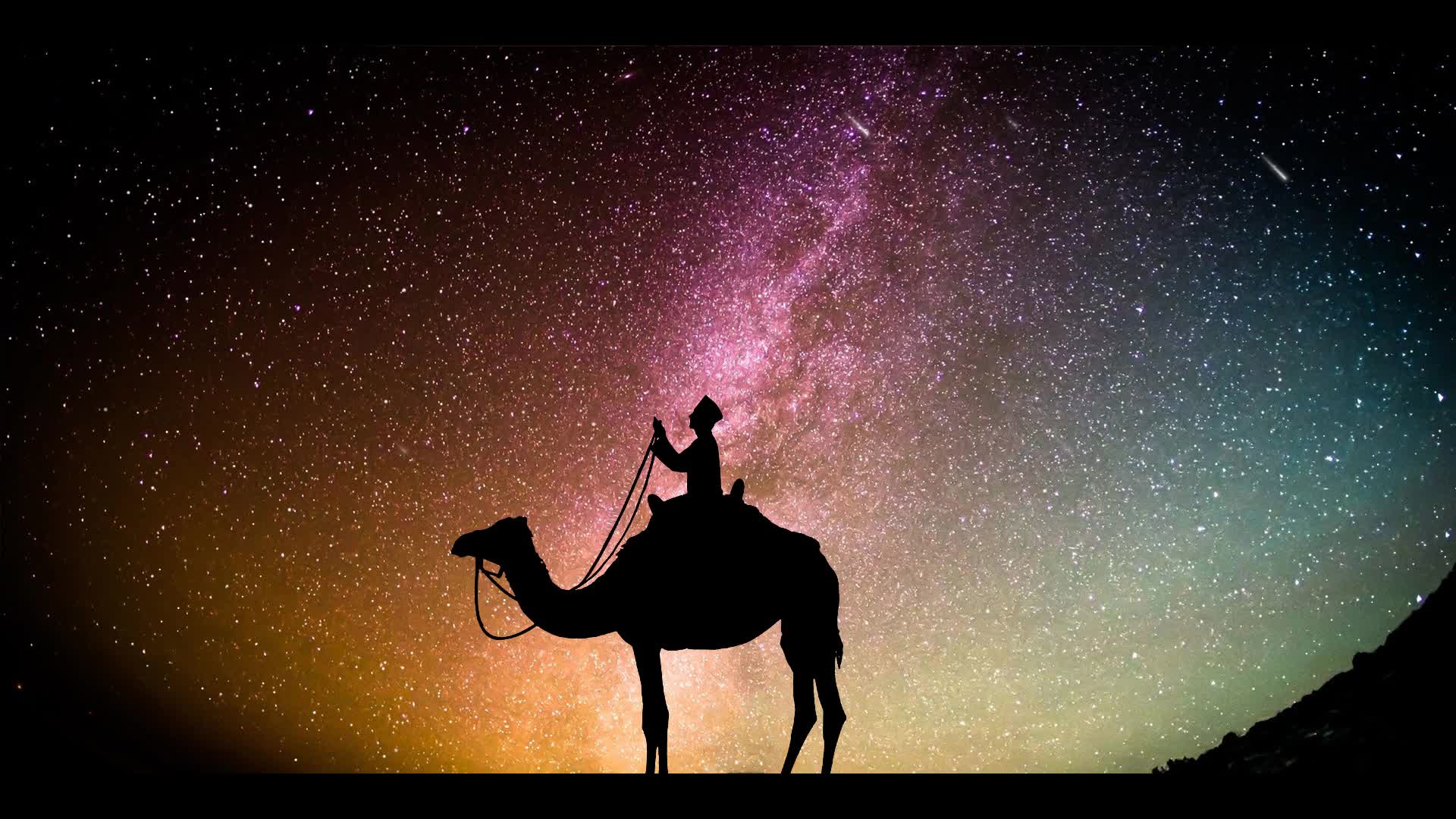 男人骑着骆驼看星星