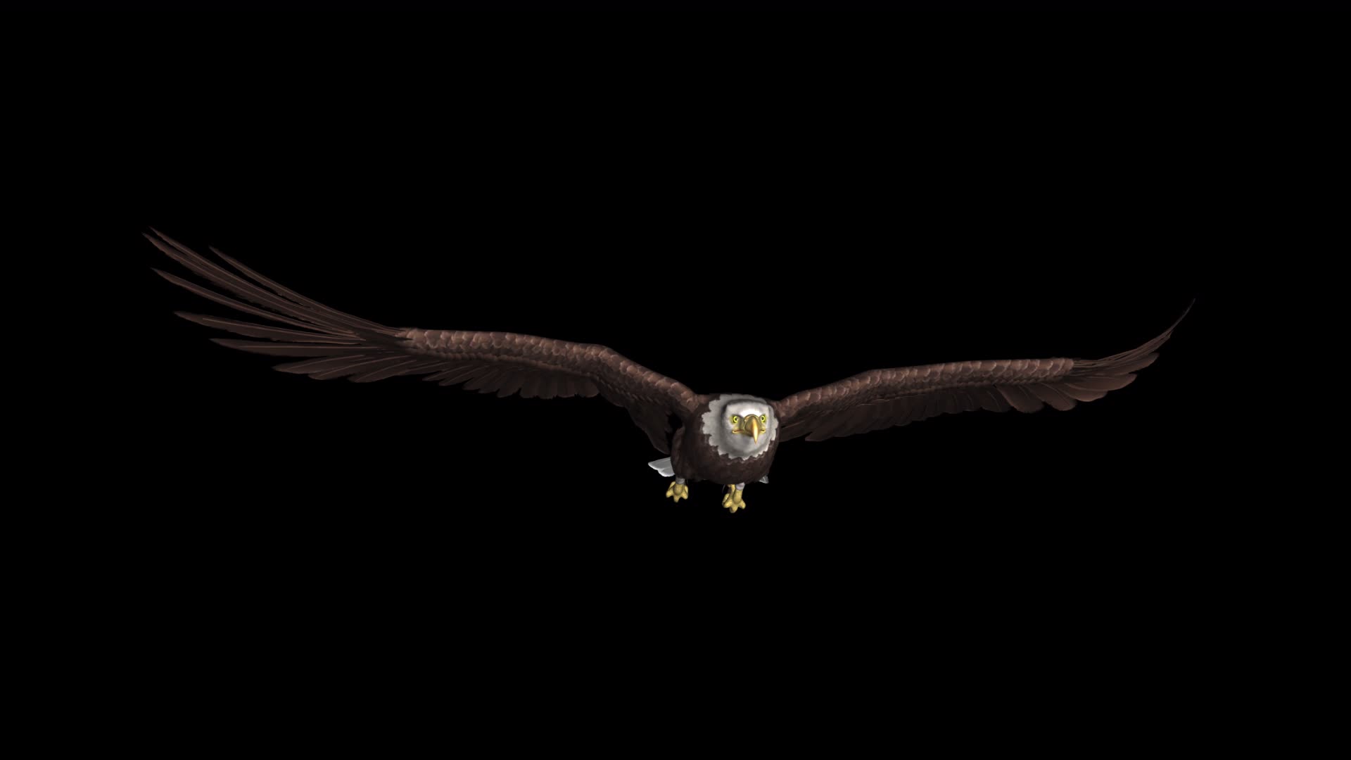 老鹰飞翔动画透明视频素材