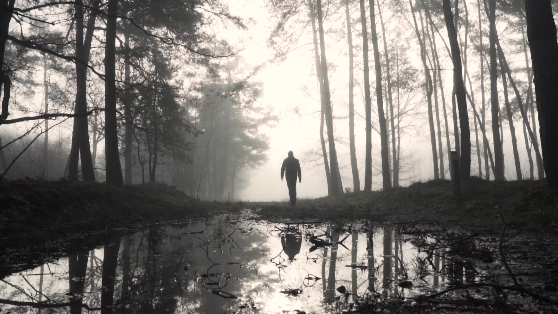 男人在树林里走路背影
