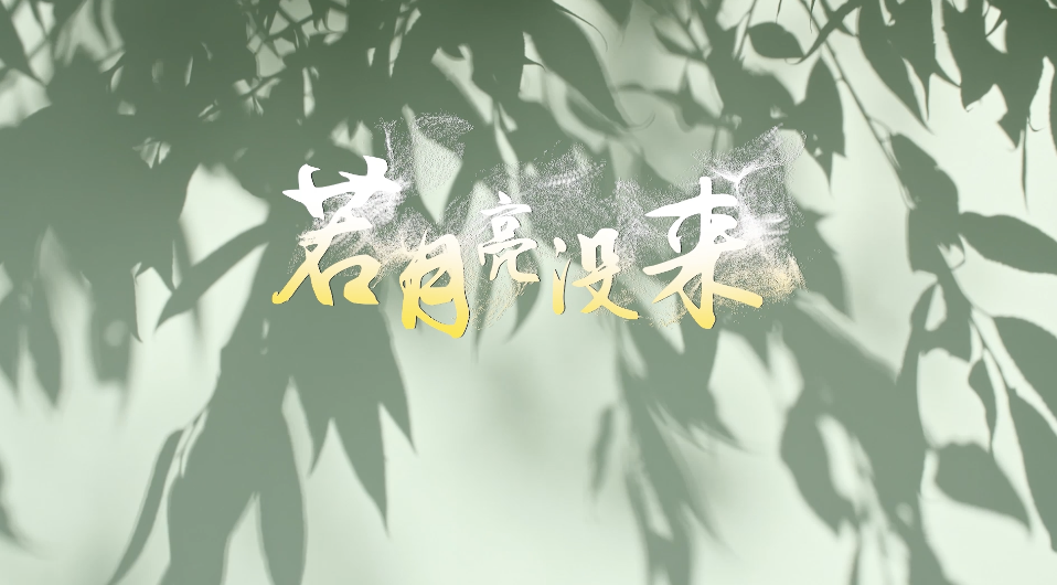 杨宗纬歌曲若月亮没来led视频背景-无词